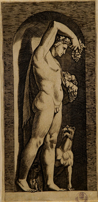 Raimondi Marcantonio (?) - Bacco